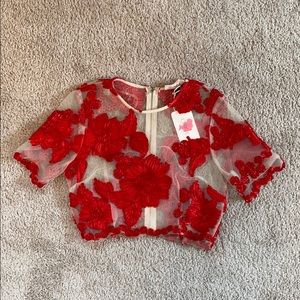 Sheer Dressy Crop Top